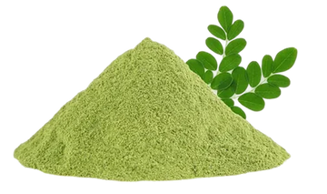 Moringa powder